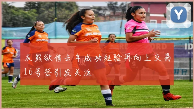 灰熊欲借去年成功经验再向上交易16号签引发关注