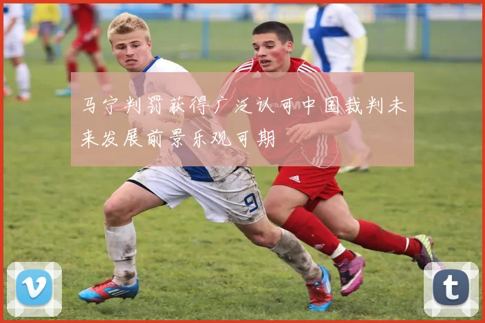 马宁判罚获得广泛认可中国裁判未来发展前景乐观可期